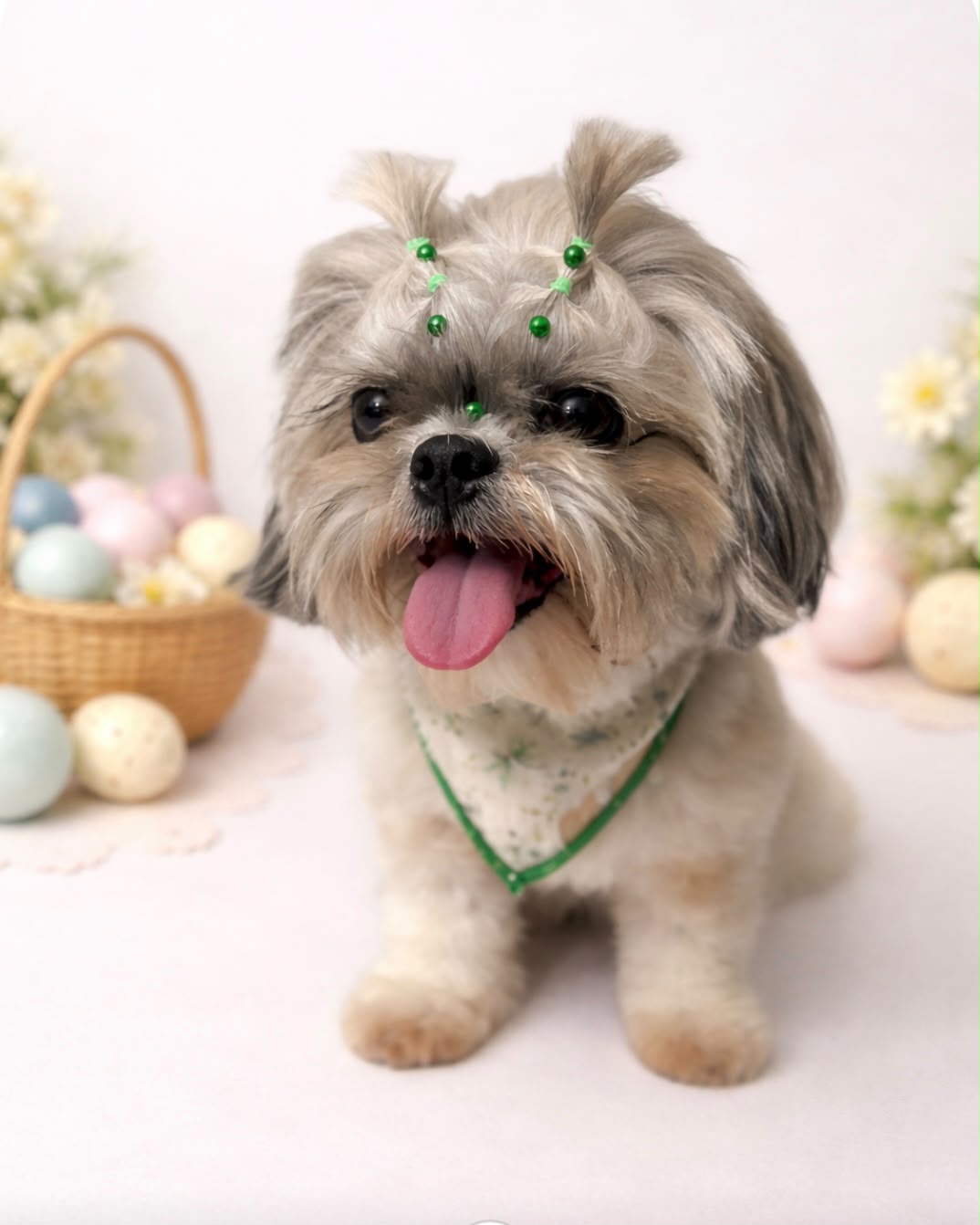 Cachorrinho de pelagem clara com laços verdes após os cuidados